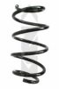 SPIDAN 86787 Coil Spring